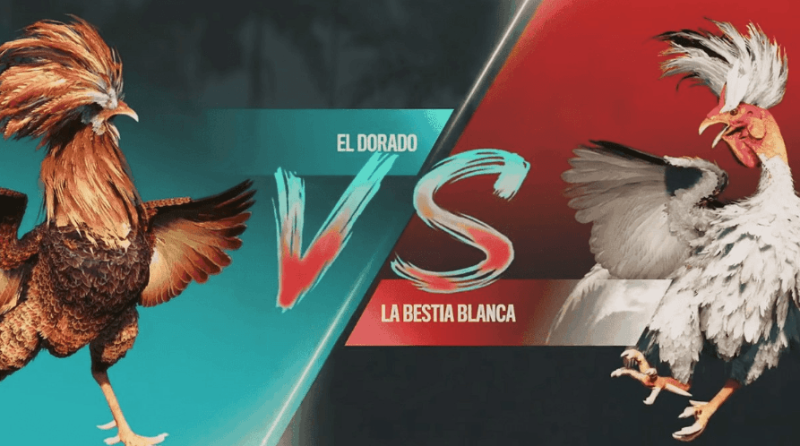 ee777 Jogos Plataforma